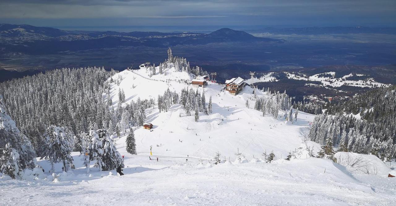Mountain Lodge Rîşnov Extérieur photo