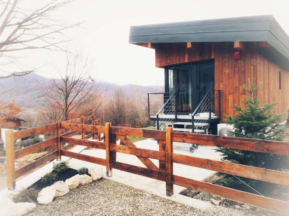 Mountain Lodge Rîşnov Extérieur photo
