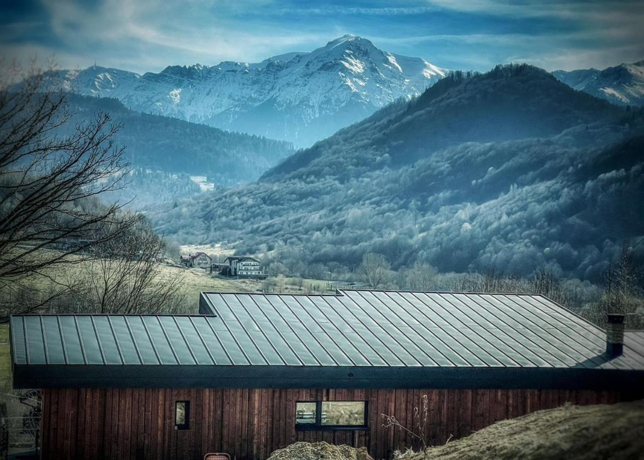 Mountain Lodge Rîşnov Extérieur photo